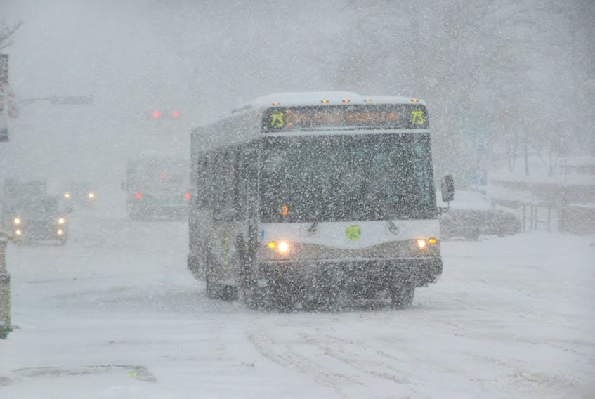 A Charlottetown transit bus makes its way along Grafton Street in Charlottetown despite the heavy snowfall Monday, March 4, 2019. - Carolyn Drake