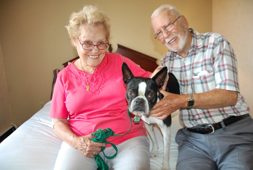 Jeannie and Charles Marcotte of Quebec City sit on the bed with their pet Jerry in a motel room in Charlottetown. The couple are angry with new owners of another accommodation failing to honour a previous rate arrangement the couple have enjoyed for years.