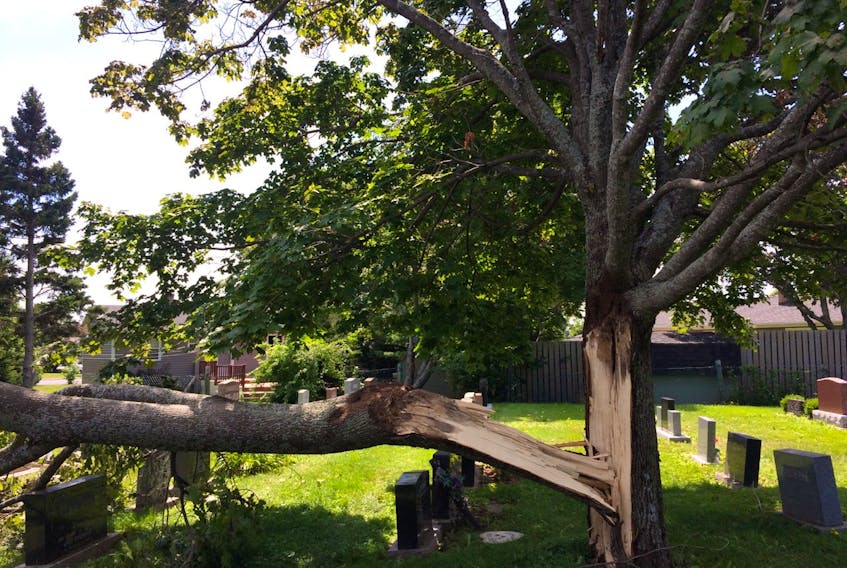 This tree split and fell on top of tombstones at The People’s Cemetery in Charlottetown, following the heavy rain and hail storm that hit the Island Aug. 10.