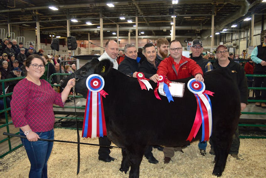 Emily Doucette, left, stands with her grand champion at Friday's Easter Beef Sale as officials with Red Shores and MacQuarrie's Meats, the successful bidders on the animal, pose for pictures behind the steer.