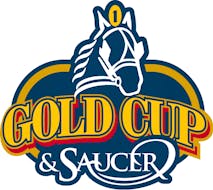 Gold Cup and Saucer.