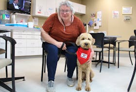 Therapy dog trainer Chantal Thibeault and her 16-month-old golden doodle named Annie are shown at Canadian Blood Services in Charlottetown recently. Thibeault brought the dog along to help provide comfort to patients who were waiting to give blood.