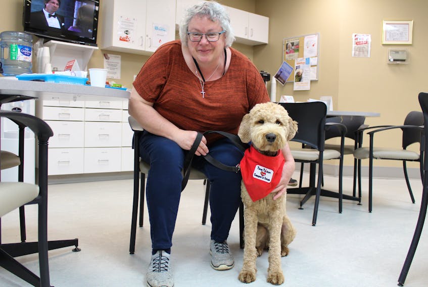 Therapy dog trainer Chantal Thibeault and her 16-month-old golden doodle named Annie are shown at Canadian Blood Services in Charlottetown recently. Thibeault brought the dog along to help provide comfort to patients who were waiting to give blood.