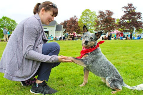 Ashley Anderson and Nova, an Australian Cattle dog, in Victoria Park June 15.