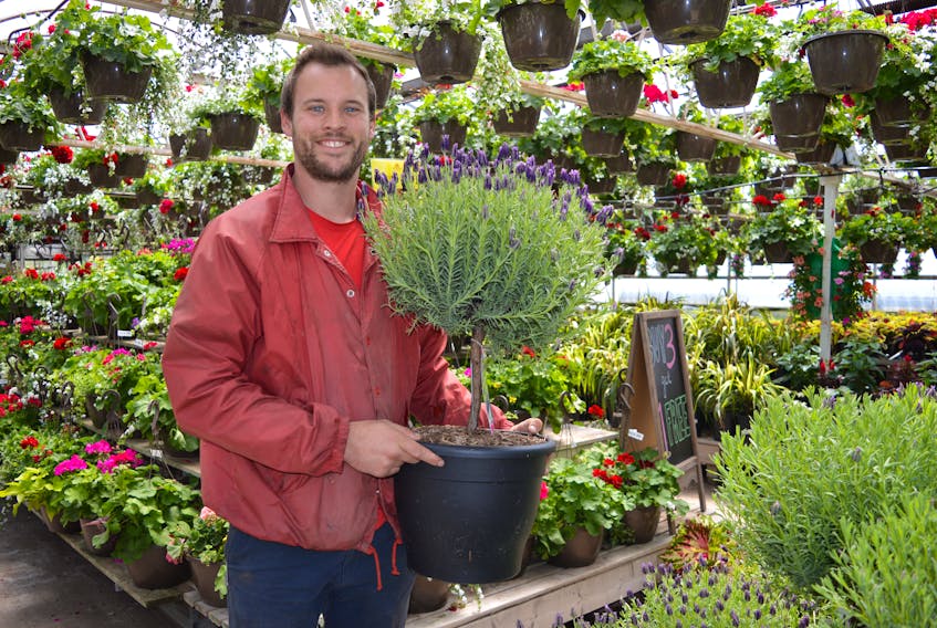 Peter Meijer, sales manager at VanKampen’s Greenhouse, anticipates a busy day Monday. VanKampen’s Greenhouse in Charlottetown will be open 8 a.m. to 8 p.m. with some Monday specials for Victoria Day.