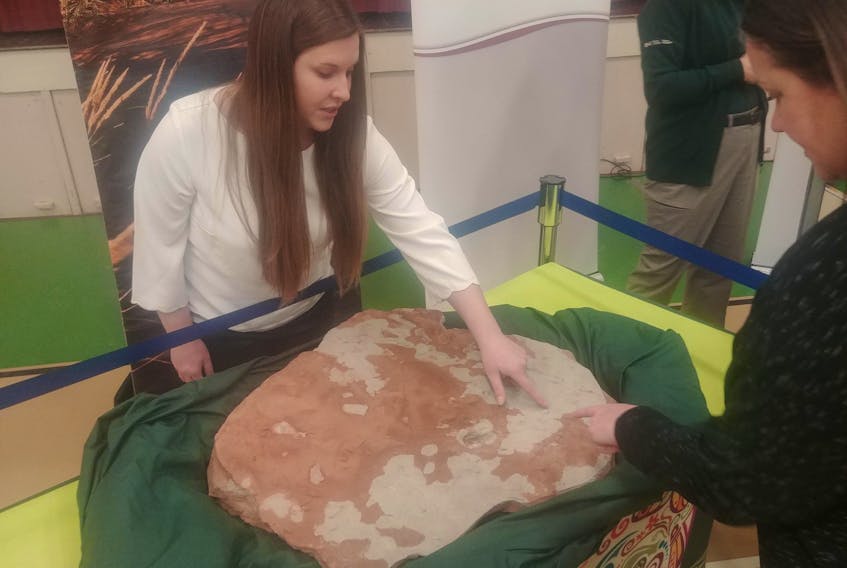 Science educator Laura MacNeil points out the patterns that helped her determine this is a dimetrodon fossil. The fossil was presented to the public at Sherwood Elementary School on Feb. 21.