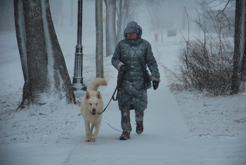 Dr. Barbara Flanagan of Charlottetown walks her dog Darby in the blowing snow Thursday afternoon.