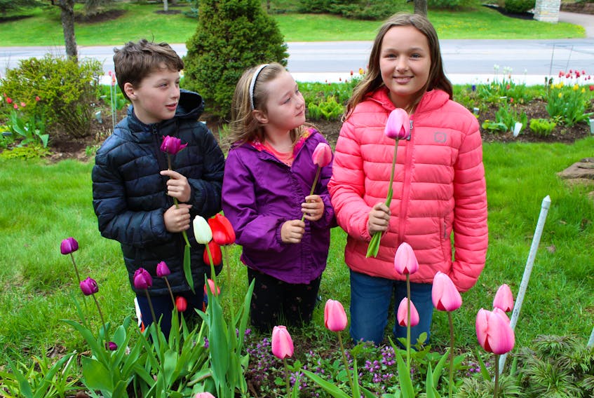 Siblings Sebastian, 8, left, Eva Lyn, 6, and Zoe Connor 10, check out the flowers in Ken MacDonald’s garden in Charlottetown. MacDonald is donating some plants for the annual plant, bake and book sale at Trinity United Church in Charlottetown on Saturday, May 26 from 8-11 a.m.