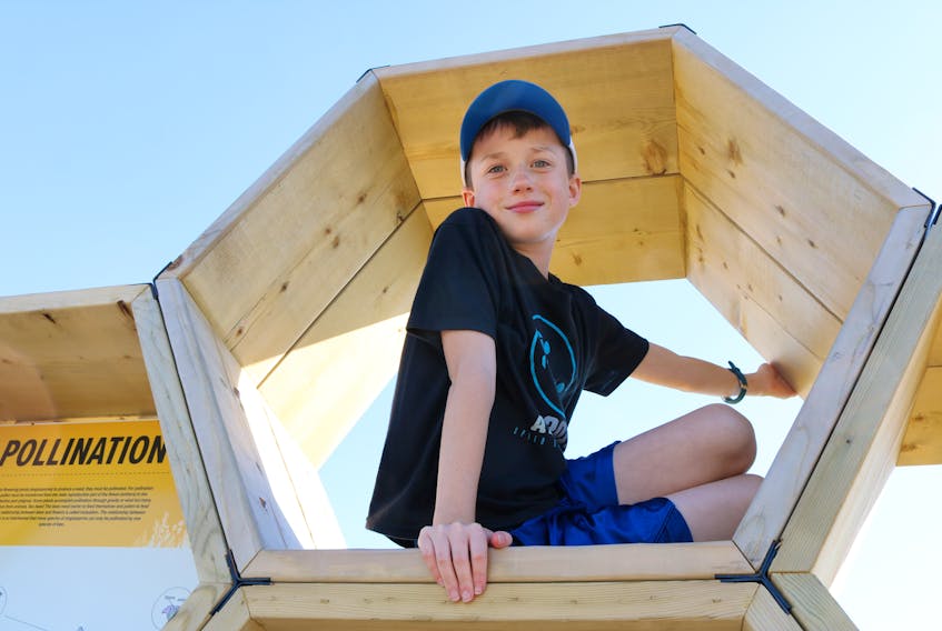 Young bee enthusiast Rio Bevan climbs to the top of a newly completed addition to the Urban Beehive Project, located near the experimental farm in Charlottetown. The structure will act as an auditorium and educational tool to help raise awareness of the importance of bees on P.E.I.
