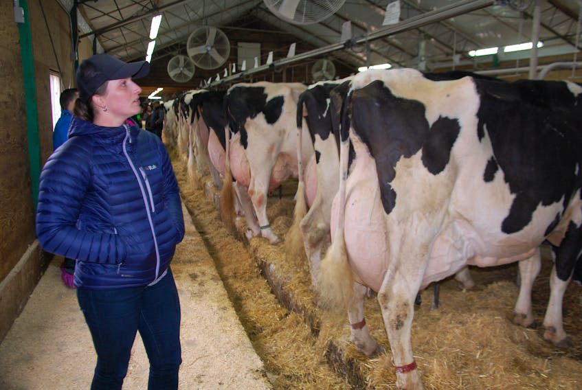 Dairy farm operator Lexi DeJong of Abbortsford, B.C., tours Goldenflo Holsteins in Marshfield on Thursday as part of the National Holstein Convention being hosted in P.E.I. DeJong says Prince Edward Island is "very well known'' for having world-class genetics in its Holsteins.