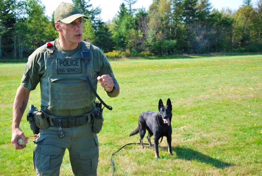 Cpl. Marc Periard is looking forward to working with Jule, a two-year-old German Shepard. Jule is the newest addition to the canine unit for P.E.I.