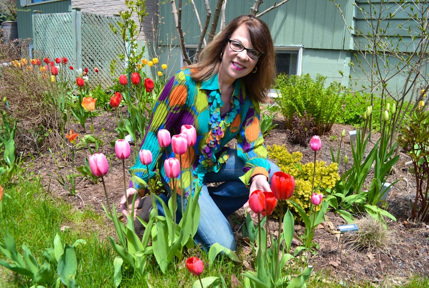 Saltwire meteorologist Cindy Day stops in to admire Ken MacDonald’s tulips during her visit to P.E.I. on Thursday. MacDonald, a Charlottetown resident, contributes plants from his garden for the annual spring yard sale at Trinity United Church in Charlottetown, which is set for Saturday, June 8, 8 a.m. to noon. Day also visited Just Another Farm in Hunter River. To follow her P.E.I. adventures, go to weatherbyday.thechronicleherald.ca.