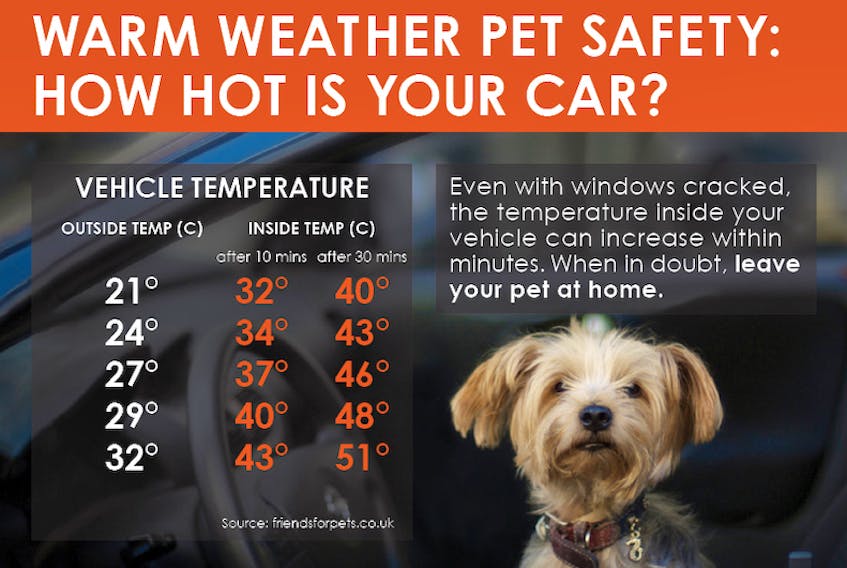 Cars can quickly turn into real cookers for a pet. - Graphic courtesy of Trupanion
