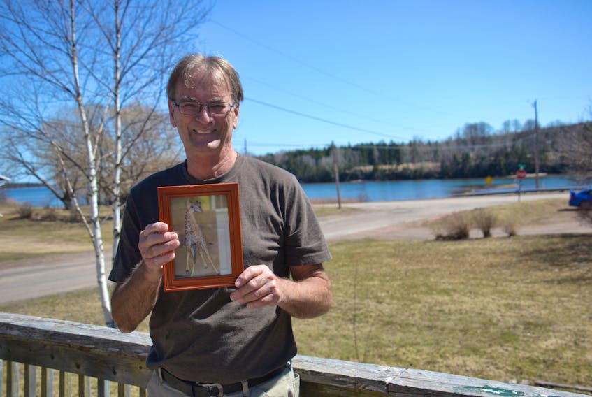 John MacDonald, owner of Cardigan Lobster Suppers and 1888 Pub, shows an image of a giraffe he picked up while travelling in Africa over the winter months. MacDonald plans to add a few items to the pub’s menu this summer to include some of the food he tried during his travels. He also plans to decorate the pub’s wall with the photographs.