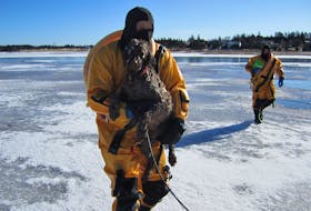 Members of the North Shore Fire Department return to shore with Fancy, a Portuguese water spaniel, after rescuing the pet from some frigid waters in Covehead Bay Wednesday. Firefighters were called when Fancy was found struggling to get out of the water after falling through thin ice.