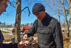 Rick MacPhee of Woodland Maple Syrup pours a small sample of sap. Before it is boiled down to make syrup, the sap tastes like sugar water with a hint of the outdoors.