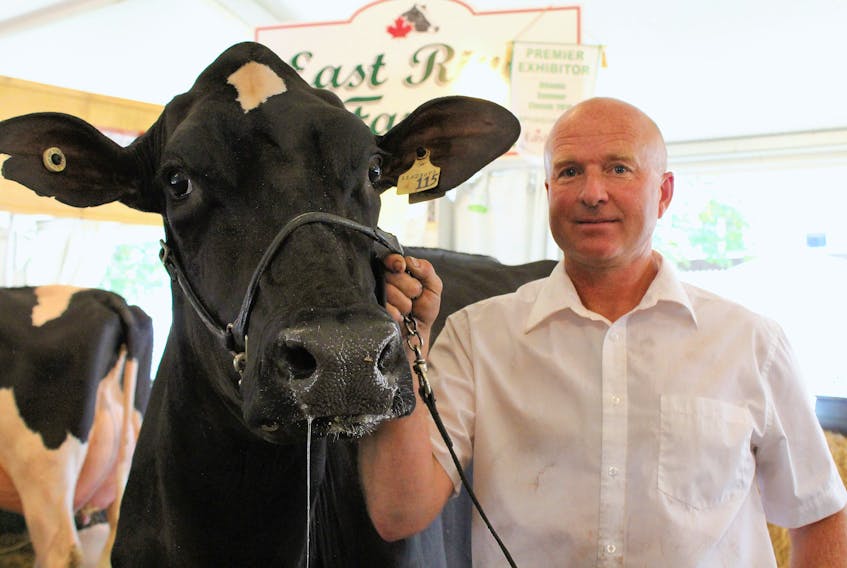 Bruce Wood and one of the 14 purebred Holsteins he showed in the AHP Holstein Show at the Eastlink Centre in Charlottetown on Saturday as part of the Old Home Week exhibition. Old Home Week celebrations goes all week long.