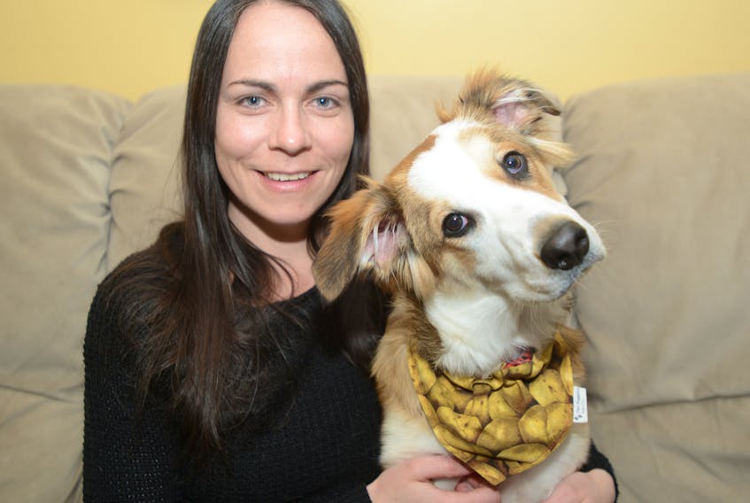 Covehead resident April Adams and her six-month-old pup Sully. The pooch has about 1,100 followers on Facebook, some of whom requested a 2019 calendar of his pictures. Adams sold more than 120 copies of the calendar, including to fans in the U.S., U.K. and Australia, donating some of the proceeds to the P.E.I. Humane Society.