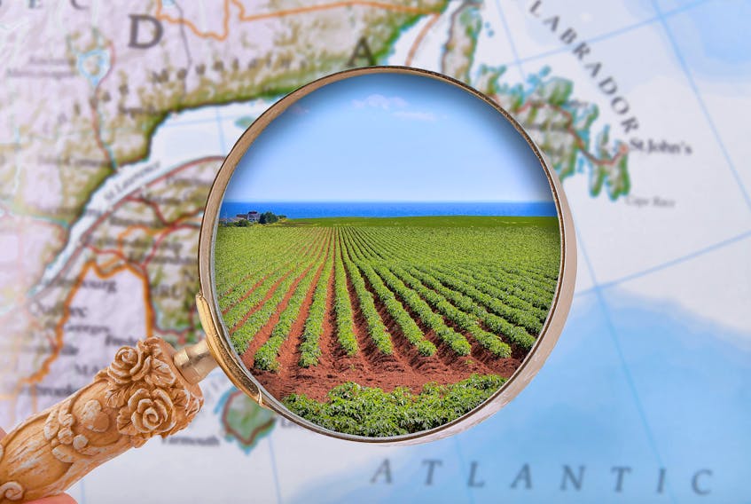 Prince Edward Island’s Lands Protection Act is coming under scrutiny with some saying the spirit of the law is being violated through sales of agricultural land to organizations with interests outside of the province.