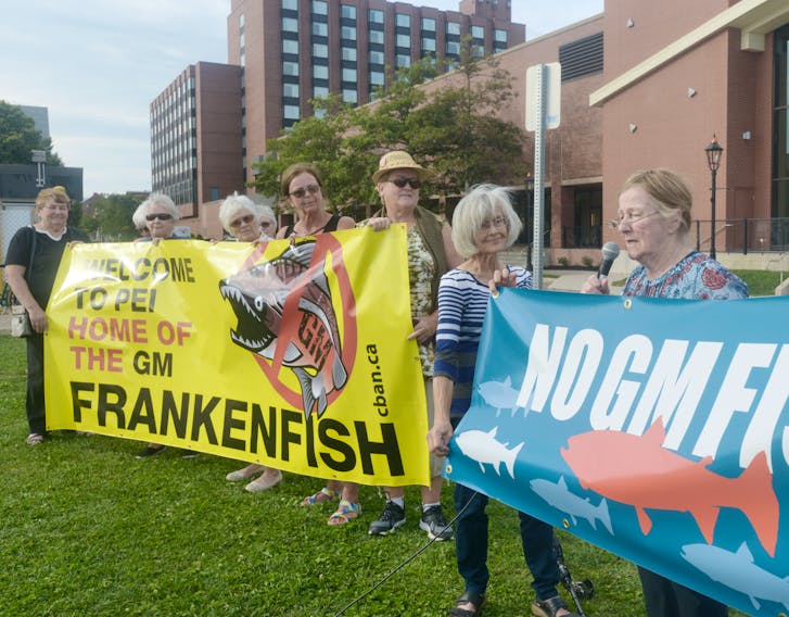 Mary Boyd, right, speaks during a small demonstration held in opposition to AquaBounty’s participation in a symposium being held in Charlottetown this week. AquaBounty, which created the world’s first genetically modified (GM) fish and has a facility in Rollo Bay, is the local partner of the eighth International Symposium on Aquatic Animal Health.