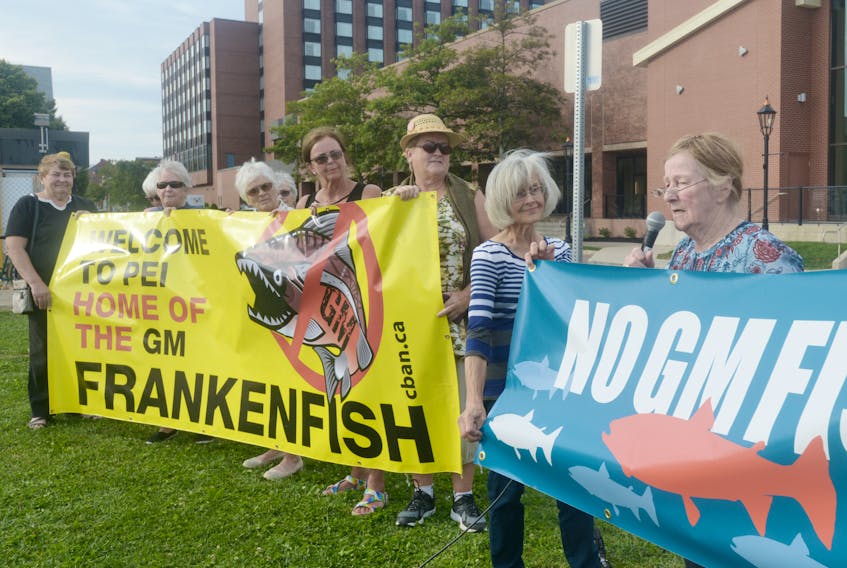 Mary Boyd, right, speaks during a small demonstration held in opposition to AquaBounty’s participation in a symposium being held in Charlottetown this week. AquaBounty, which created the world’s first genetically modified (GM) fish and has a facility in Rollo Bay, is the local partner of the eighth International Symposium on Aquatic Animal Health.