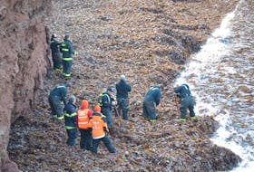 Searchers scour the shoreline at North Cape Wednesday, near the site where the fishing vessel “Kyla Anne” went down late Tuesday afternoon. One crew member swam to safety but two others remain missing.
