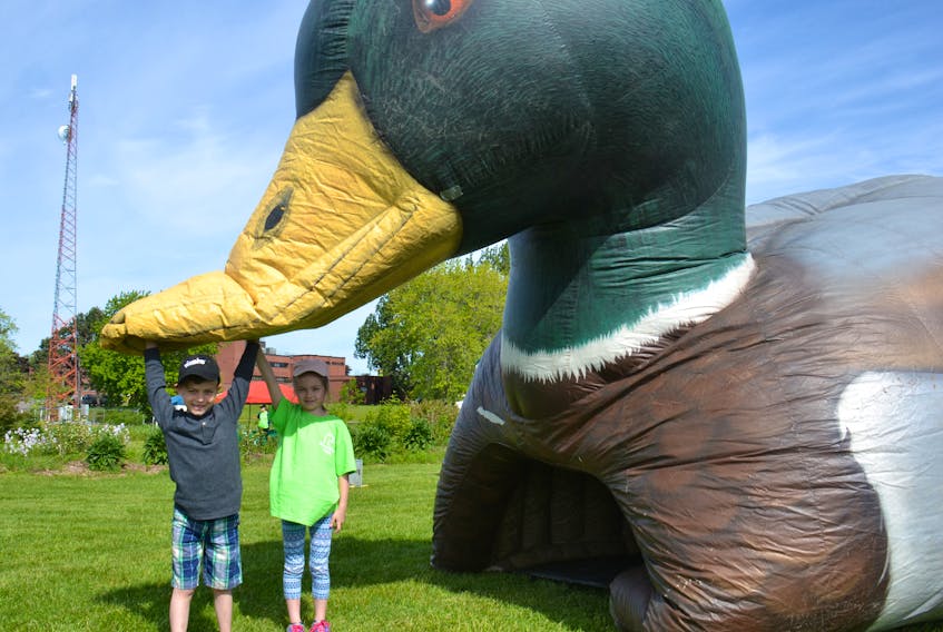 Sackville, N.B. cousins, from left, Mason Parker, 7,  and Reese Walton, 6, take part in Duck Day activities at the Farm Centre in Charlottetown on Saturday. The event had a number of activities to show both kids and adults how to preserve waterfowl habitats on P.E.I.