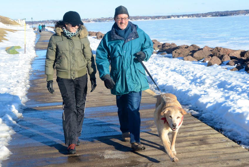 Neighbours Cathleen O’Grady, left, and Chris Lane walk the nearly 12-year-old yellow lab Calvin Lane along a section of the Charlottetown boardwalk Sunday.