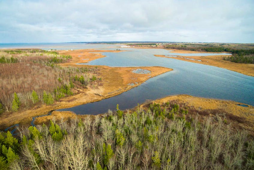 Aerial photo shows some of the salt marsh protected last week in the Abram-Village area by the Nature Conservancy of Canada. 

(Sean Landsman Photo/NCC)