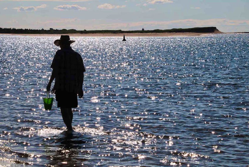 Author David Weale is shown clam digging and walking along the shore in this 2016 photo.
(Submitted)
