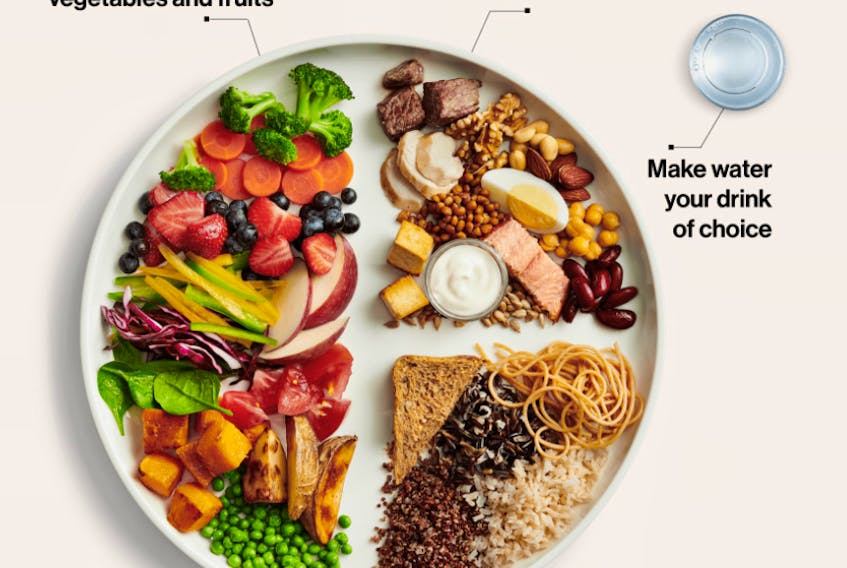 Canada's Food Guide was updated and released to the public in January. It includes this image depicting a healthy plate of food.