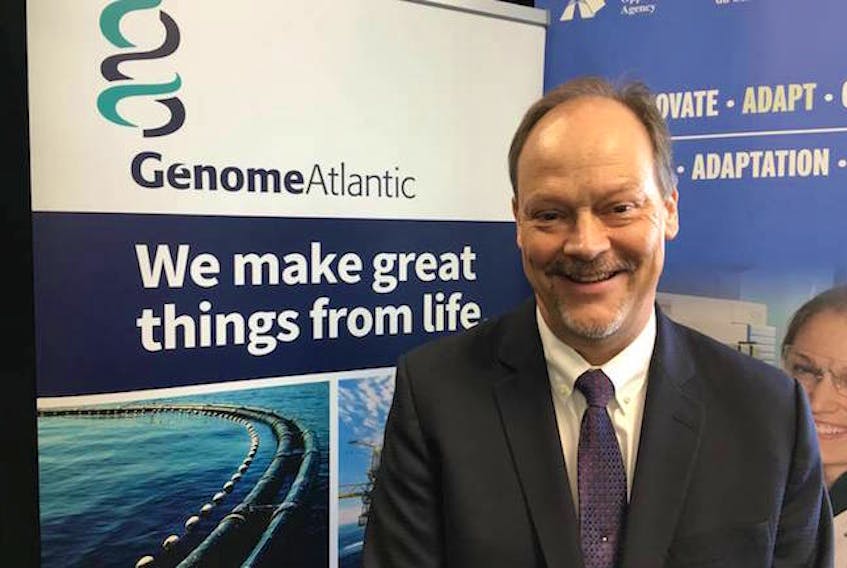 Dr. Steve Armstrong of Genome Atlantic says the $750,000 in federal funding will allow the not-for-profit organization to help private companies develop strong proposals and leverage their own funds in an effort to obtain additional government funding.
(Kenn Oliver / The Telegram)