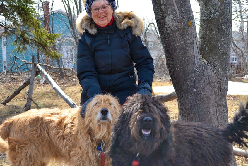 Nadine MacCallum spent a sunny Monday walking her dogs, Memphis, left, and Licorice, right, in Charlottetown. The weather on Monday proved perfect for a walk with pets. The boardwalk is Charlottetown was full of pet owners out enjoying the sunshine. -Kai Vere/
