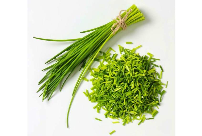 Chives are often used as garnishes for soups and salads, baked or mashed potatoes, eggs, fish or chicken, as they look great and add a pleasant mild flavour.