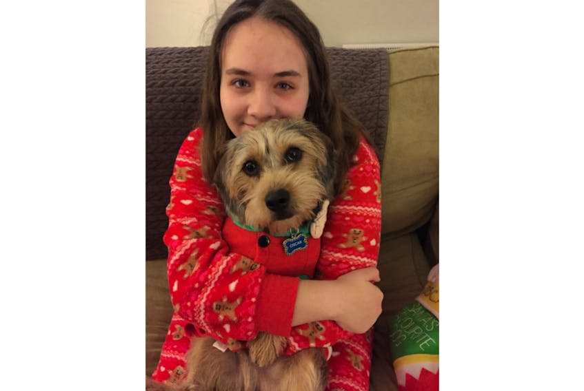 Meghan MacMullin holds Oscar, a 10-month-old Dachshund /Shih Tzu mix, adopted this past August. - Krista MacMullin/Special to The Guardian