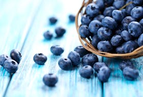 Fresh blueberries like these can be frozen and then used in a delicious variety of recipes, including Blueberry Coffee Cake.