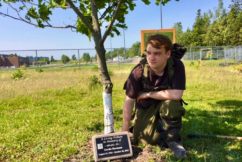 Kieran Stewart of Cornwall’s parks and recreation department tidies up one of the trees in the Circle of Peace at the Naturalization Gallery in Cornwall. The gallery will be officially opened on Sunday as part of the town’s multicultural festival.