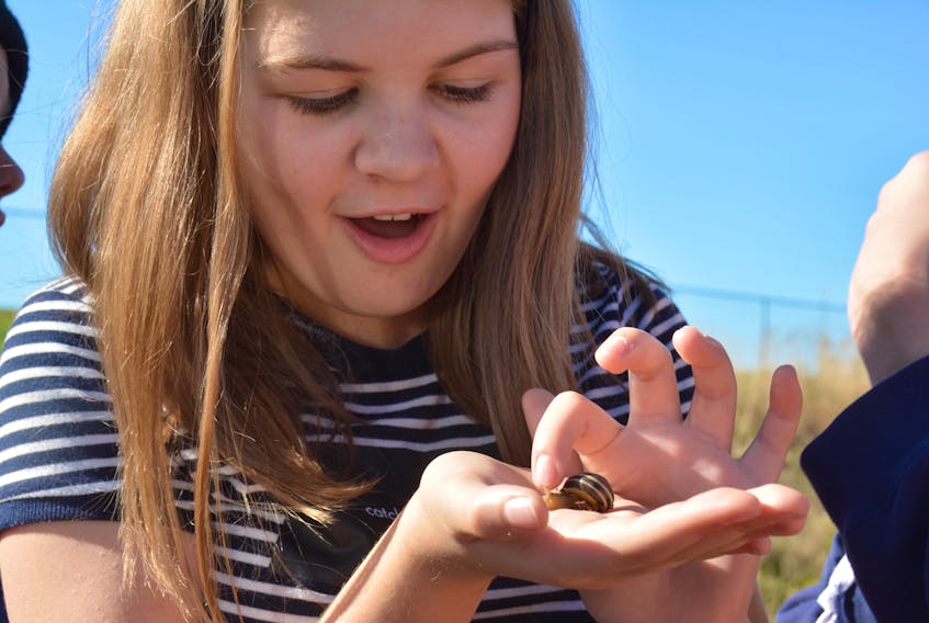 Amherst Cove Consolidated student Colby Buch examines a snail during a nature walk in the Noonan Marshes in Borden-Carleton. COLIN MACLEAN/JOURNAL PIONEER