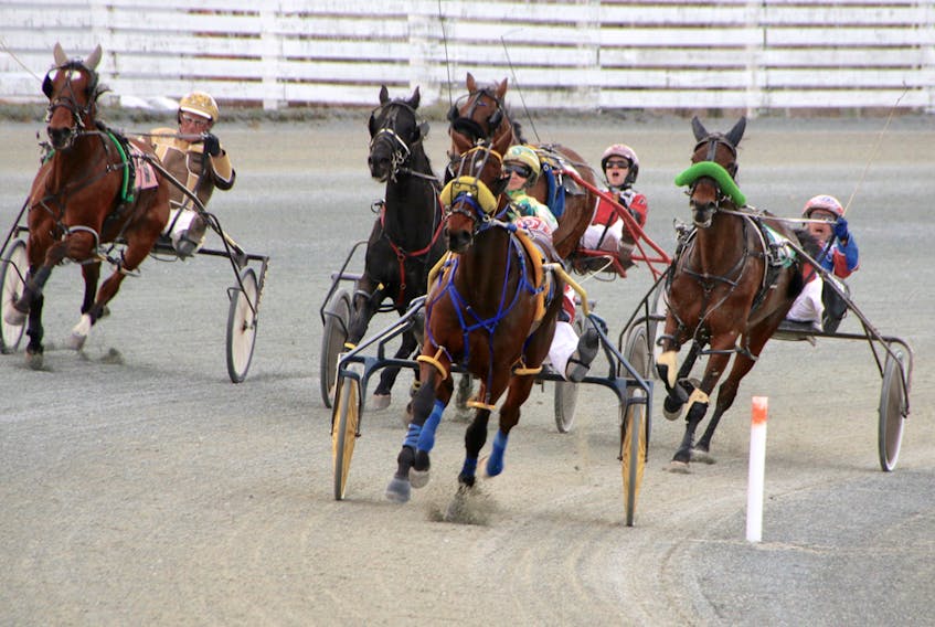 The opening night of live harness racing at Truro Raceway last Friday featured seven dashes. The wager was more than $8,400.