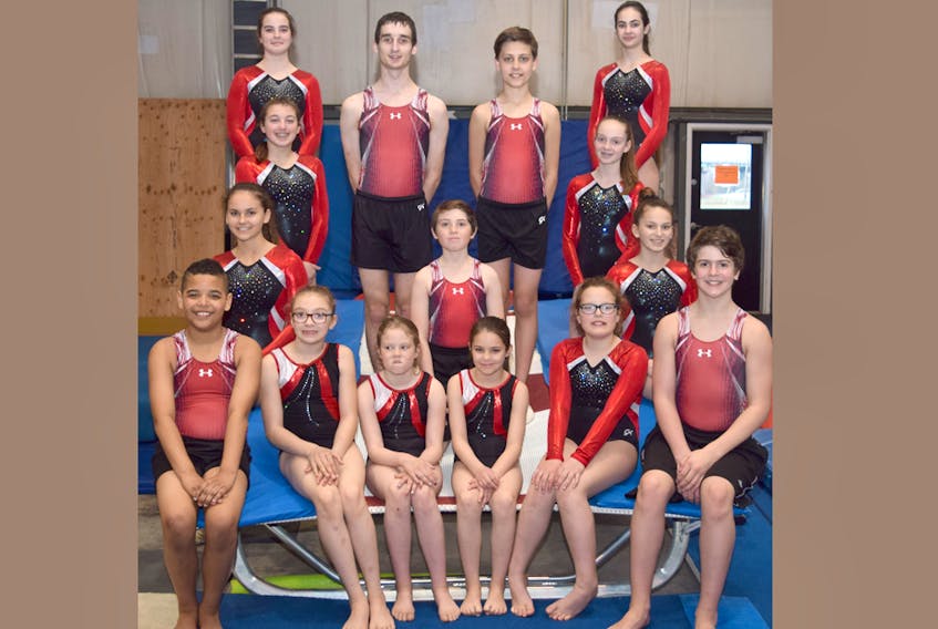 The Cobequid Spartans trampoline and tumbling team enjoyed success at the recent provincial championship in Dartmouth. Members of the team are, front row, from left, Keandre Paris, Breanna Canning, Mahayla MacGillivary, Josie MacKenzie, Meghan Henderson and Cody Gonzales; second row, Hadley Bent, Daniel McPhee and Marie Mingo; third row, Breanna Conney, Daniel Brownell, Alexander Baggio and Abbey Bryden; fourth row, Jordyn Henderson and Nicole MacKenzie. Missing from photo are Samantha Kent, Jorja Langille, Amber MacNutt and Abigael Brownell.