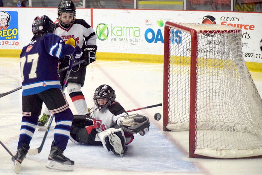 Matthew MacKenzie makes a glorious stop during action at the Hockey Nova Scotia atom A final in Truro on Friday. MacKenzie and his Truro Inglis Jewellers Bearcats settled for provincial silver after dropping a 5-0 decision to the South Shore Sharks at the Rath Eastlink Community Centre.