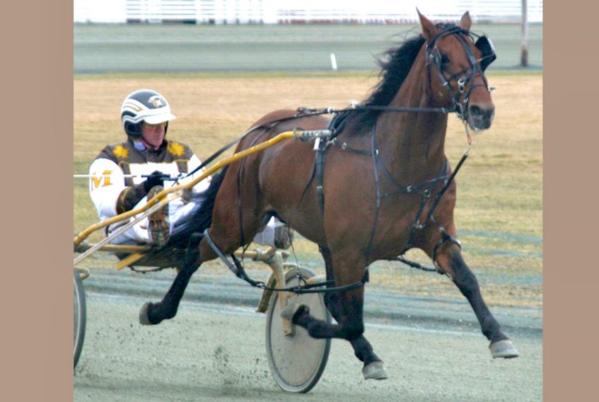Somebeachsomewhere, owned by Schooner Stables of Truro, dominated harness racing during his two years on the track. On Nov. 2, he will be inducted posthumously into the Nova Scotia Sport Hall of Fame.