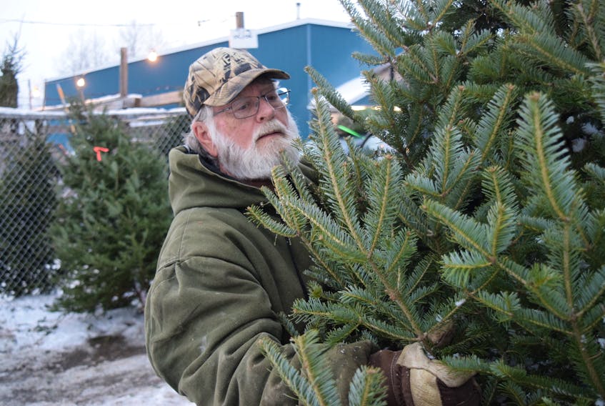Christmas tree seller Adrian Samson has seen his stock ravaged by frost, but still prides himself on selling people a quality product from the Treeland Christmas Tree Farm lot on Willow Street.