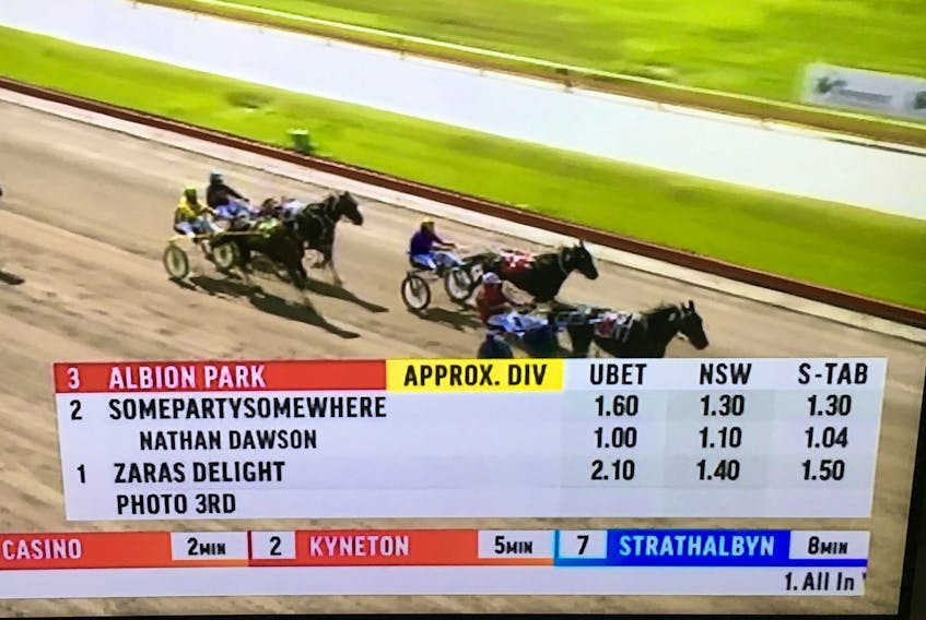 Winning at Albion Park in Adelaide, Australia is Somepartysomewhere – a son of world champion Somebeachsomewhere, well connected to Truro.