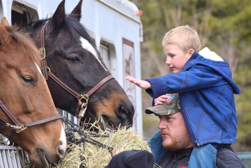 Michael Osborne, 4, got a boost from his dad, Corey, so he could have an eye-to-eye with a pair of horses that were happy to be petted. Corey’a brother Dylan was also along for the fun.