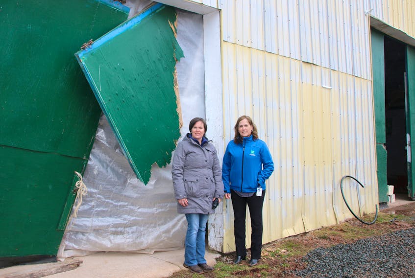 Lisa Patton, left, and Angela Masters, chairs of the 4-H barn renovation committee, are pleased to see the progress on drainage work being done. The new drains will prevent water from accumulating inside the barn and the outdoor ring.
