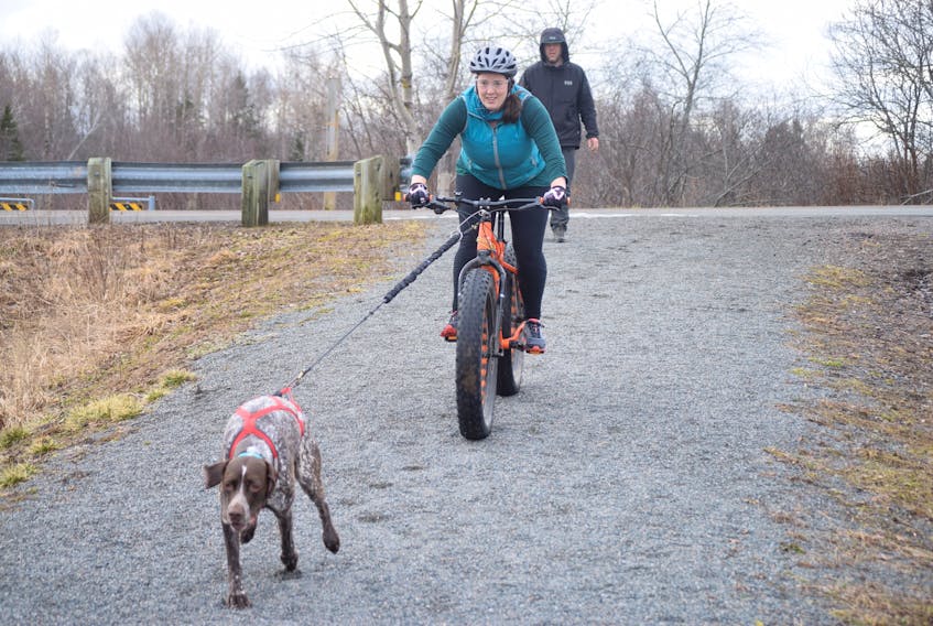 Gina Peppard enjoys bikejoring with a fatbike and her dog Chester, hitting the Cobequid Trail in Bible Hill on Jan. 25.