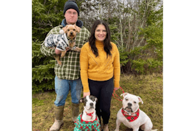 Kenzie Hingley, Jordon Rafuse and their dogs. They also lost cats in the fire.