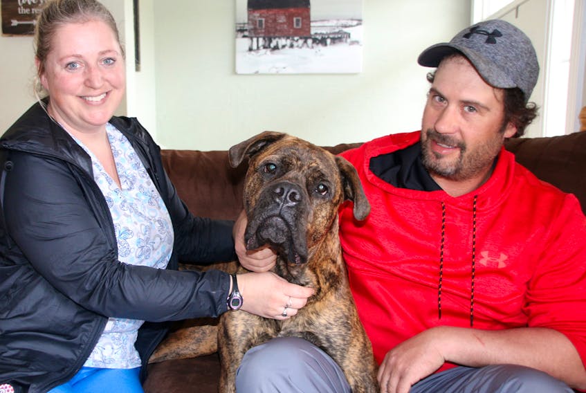 Cory MacKay and Rebecca Ann Blair recently discovered their bull mastiff, Charley, has wobbler syndrome. They’re trying to sell their truck and camper to cover the costs of the dog’s medical care, which includes major surgery.