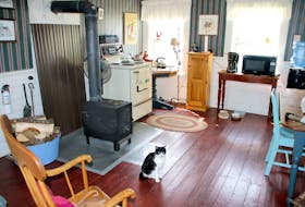 The kitchen of the Elizabeth Bishop House in June 2016. Someone was living in the house at that time. File photo